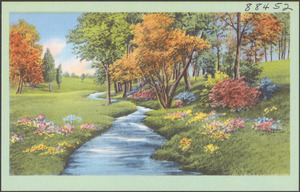 Tree and flower-lined river