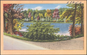 View of lake through foliage