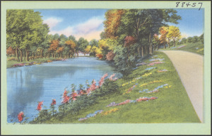 Road running by a tree-lined river, flowers in foreground