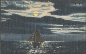 Moonlight sail on the summer sea