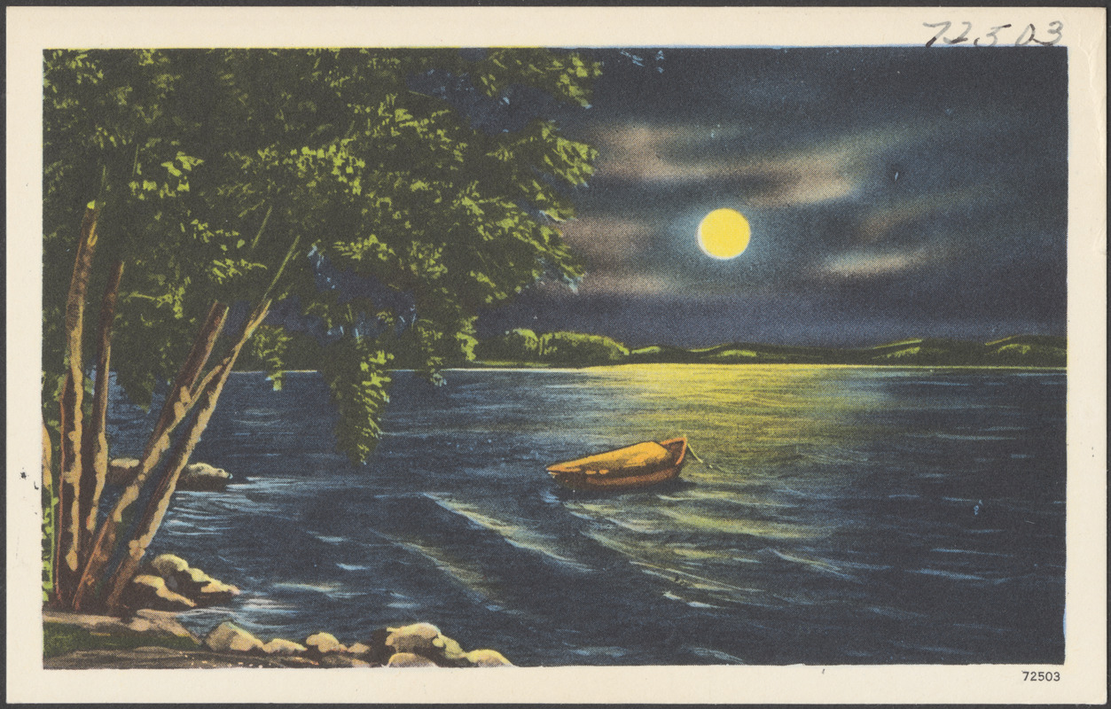 A boat on a moonlit lake