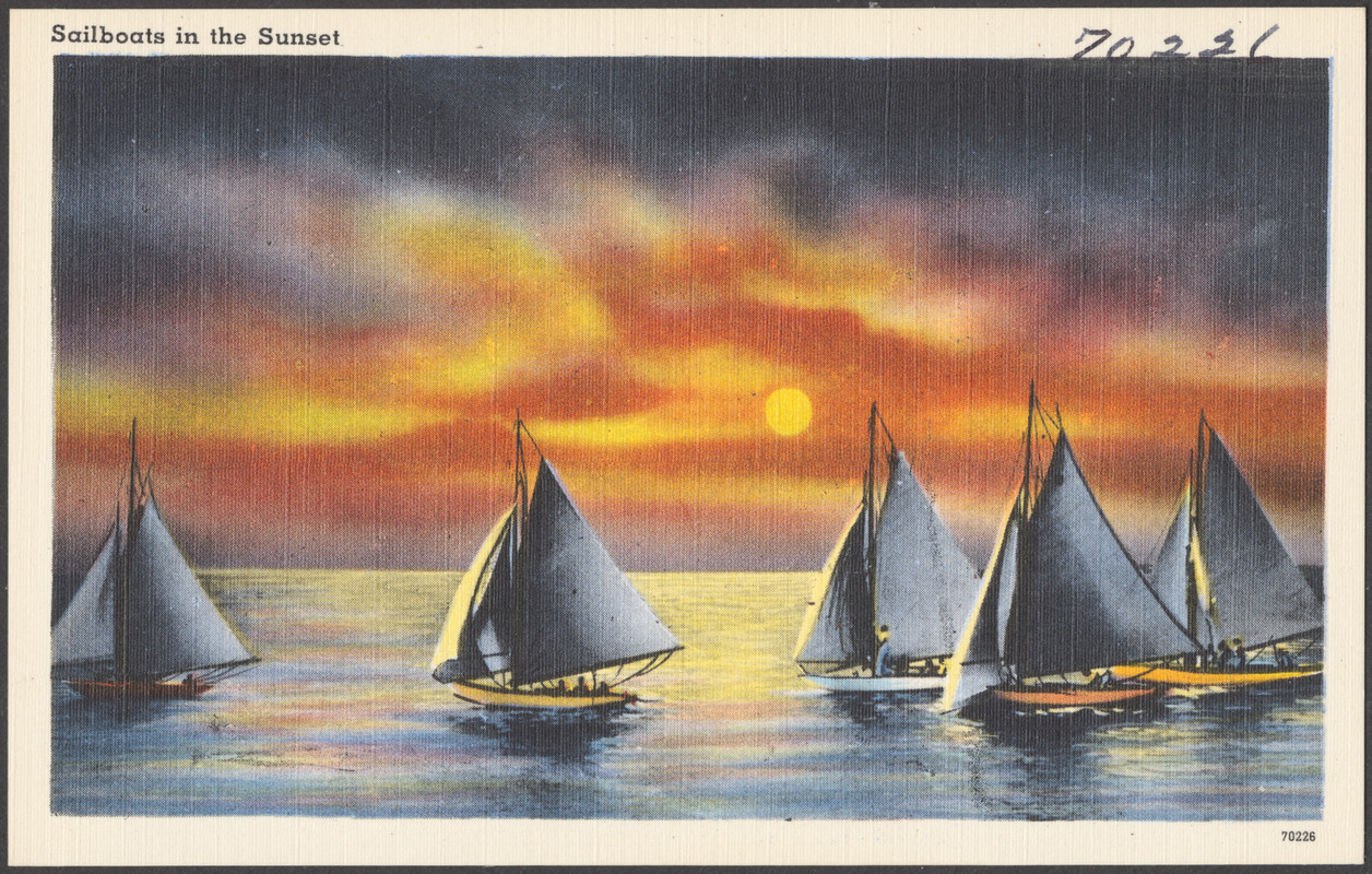 Sailboats in the sunset