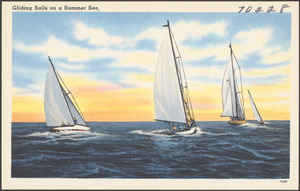 Gliding sails on a summer sea