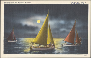 Sailing over the moonlit waters