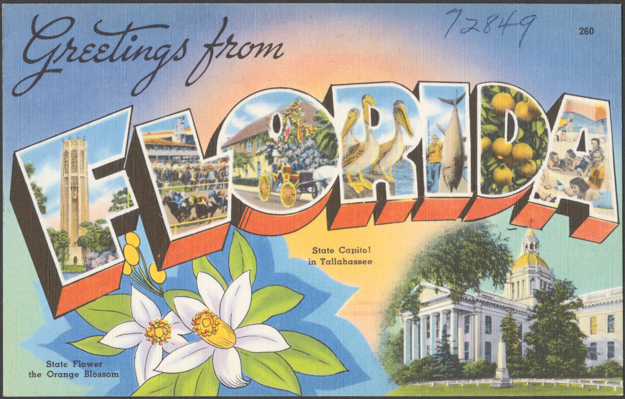 Greetings from Florida