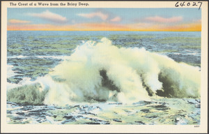The crest of a wave from the briny deep