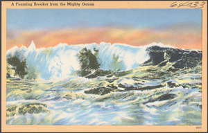 A foaming breaker from the mighty ocean