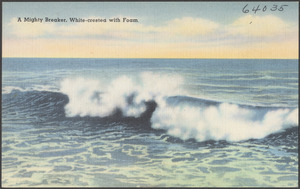 A mighty breaker, white-crested with foam