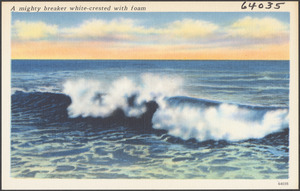 A mighty breaker white-crested with foam