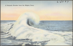 A majestic breaker from the mighty deep