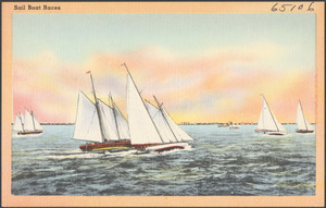 Sail boat races