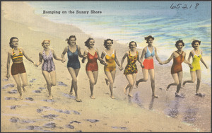 Romping on a sunny shore