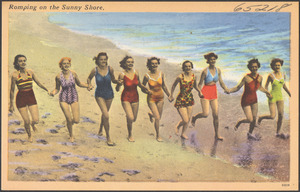 Romping on a sunny shore