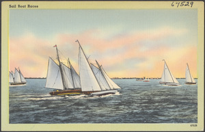 Sail boat races