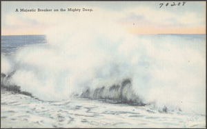 A majestic breaker on the mighty deep