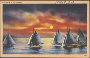 Sailboats in the sunset