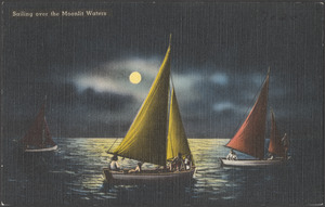 Sailing over the moonlit waters