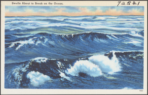 Swells about to break on the ocean