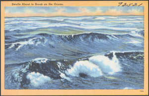Swells about to break on the ocean