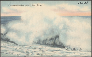 A majestic breaker on the mighty deep