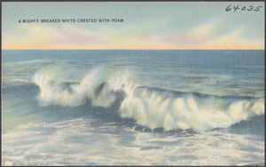 A mighty breaker white-crested with foam