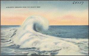 A majestic breaker from the mighty deep