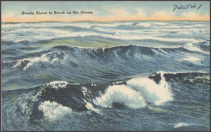 Swells about to break on the ocean