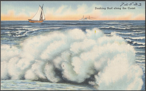 Dashing surf along the coast