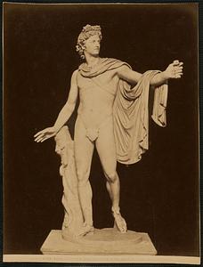 Roma - Museo Vaticano. Apollo detto di Belvedere (Scultura antica)