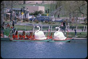 Swan boats, Public Garden, Boston