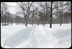 Winter, Boston Common