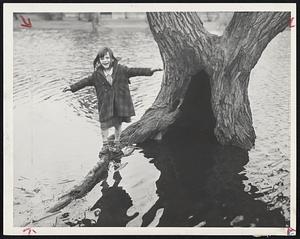 Where Do I Go From Here? asks six-year-old Janice Zarro as she teeters on tree root in South Boston playground, flooded by unusually warm weather.