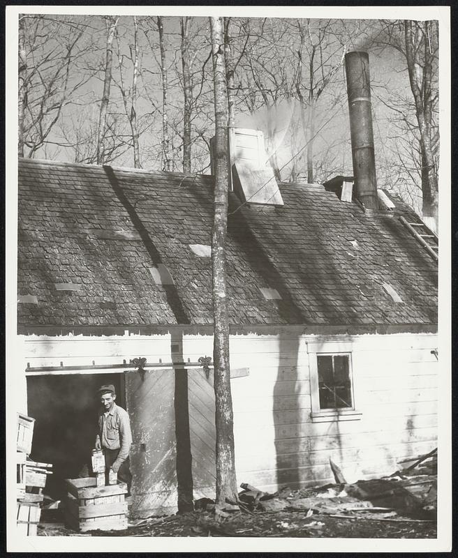 Another Case of State of Main Maple Syrup. Warren Voter, in the doorway of his sap house, in Farmington, is shown completing another case of State of Maine syrup. Voter packs his syrup in quart and gallon cans bearing the State of Maine Blue, White and Red trademark of quality