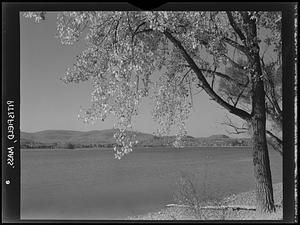 Lake, Pittsfield