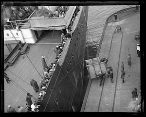 People looking over the side of a ship at a horse being pulled up