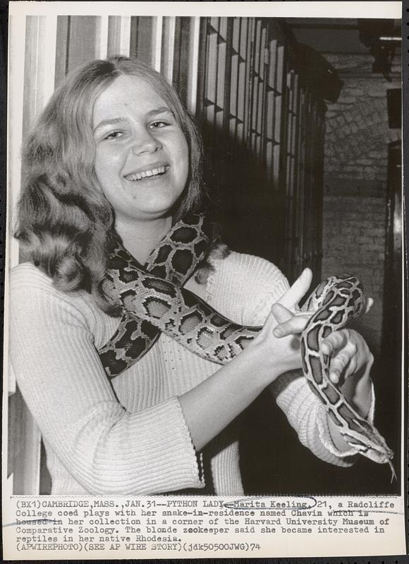 Python lady