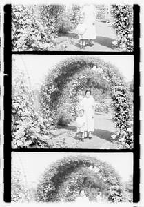 Unidentified boy and woman, rose garden, Boston