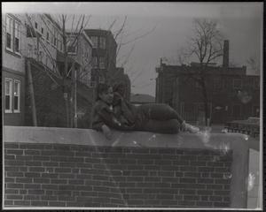 Nikki lounging on a brick wall