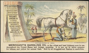 Merchant's Gargling Oil is the oldest and best liniment now in use throughout the United States and foreign countries. It is put up in white wrapper for human, and yellow for animal flesh.