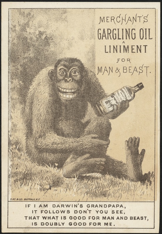 Merchant's Gargling Oil, a liniment for man & beast - If I am Darwin's grandpapa, it follows don't you see, that what is good for man and best, is doubly good for me.