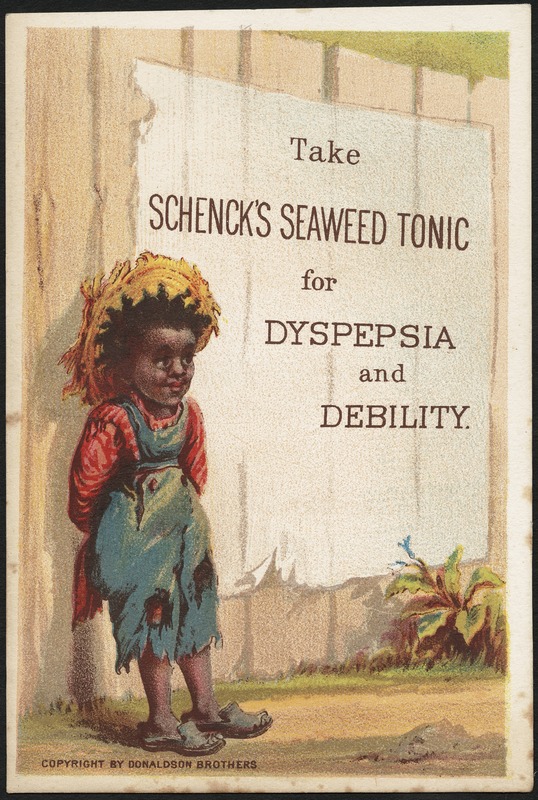 Take Schenck's Seaweed Tonic for dyspepsia and debility.