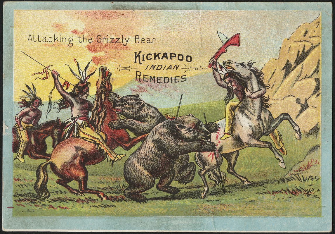 Attacking the grizzly bear - Kickapoo Indian Remedies