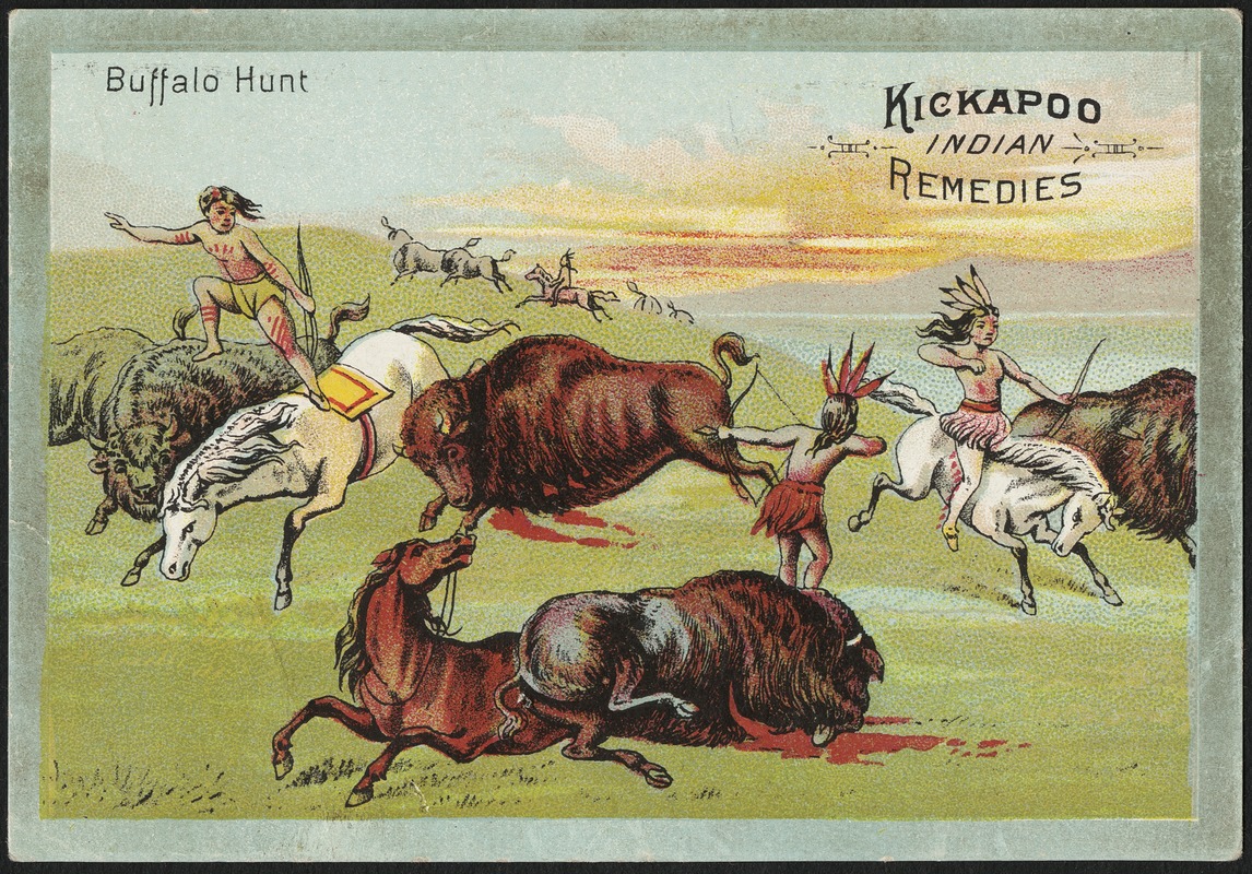 Buffalo hunt - Kickapoo Indian Remedies