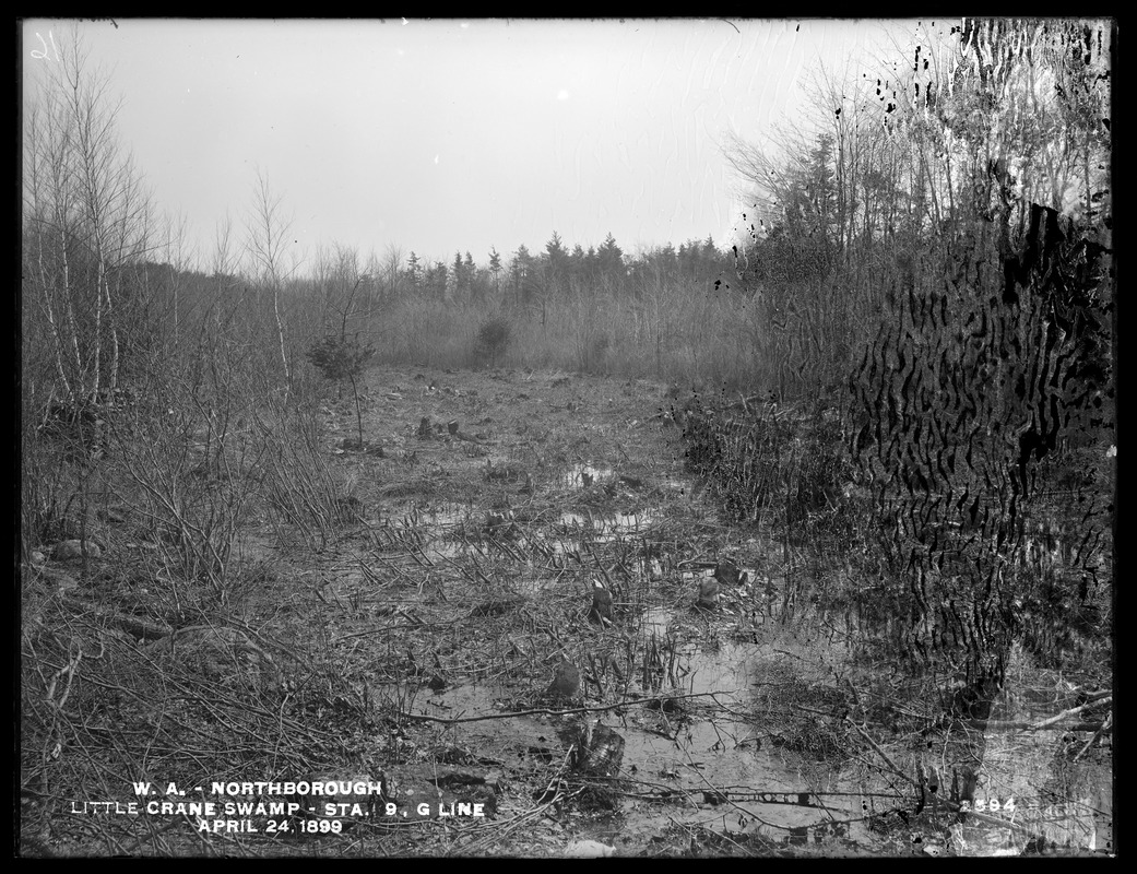 Wachusett Aqueduct, Little Crane Swamp before improvement, station 9, G Line, Northborough, Mass., Apr. 24, 1899