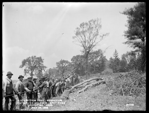 Distribution Department, Low Service Spot Pond Reservoir, uprooting trees, Stoneham, Mass., May 25, 1899