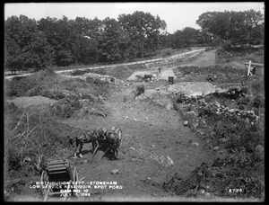 Distribution Department, Low Service Spot Pond Reservoir, dam no. 10, near South Street, from the south, Stoneham, Mass., Jul. 15, 1899