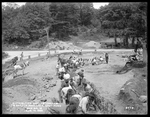 Distribution Department, Low Service Spot Pond Reservoir, Dam No. 12, from the south, Stoneham, Mass., Aug. 14, 1899