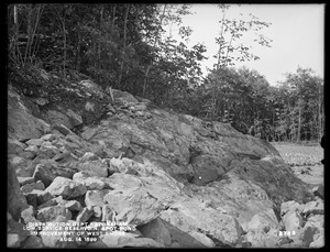Distribution Department, Low Service Spot Pond Reservoir, treatment of shore near Porter Cove, from the south (improvement of west shore), Stoneham, Mass., Aug. 14, 1899