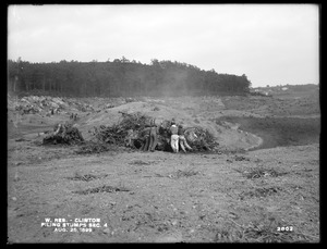 Wachusett Reservoir, piling stumps, Section 4, from the west, Clinton, Mass., Aug. 25, 1899