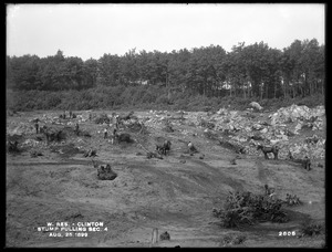 Wachusett Reservoir, stump pulling, Section 4, from the south, Clinton, Mass., Aug. 25, 1899